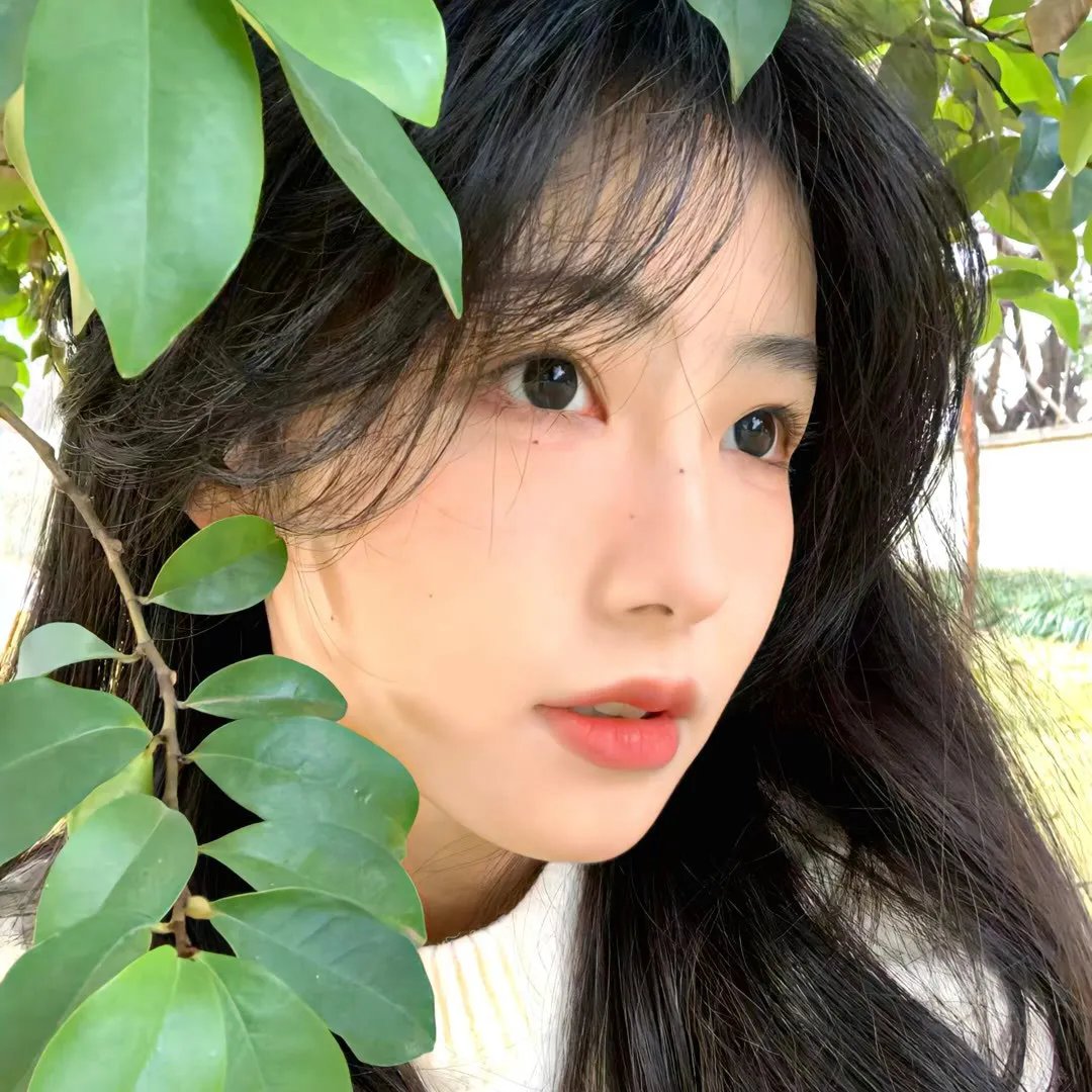艾莉莎与玛榭拉
